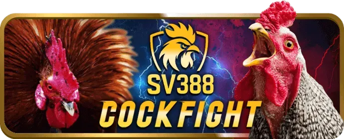 Hướng dẫn ưu đãi 88open